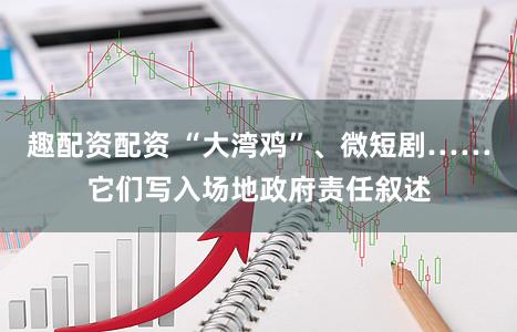 趣配资配资 “大湾鸡”、微短剧……它们写入场地政府责任叙述